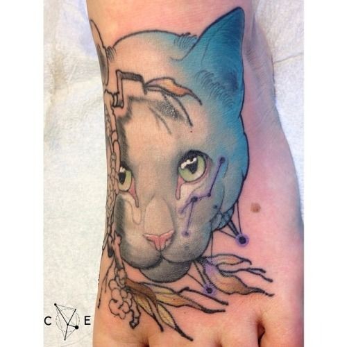 可爱的猫肖像纹身图案