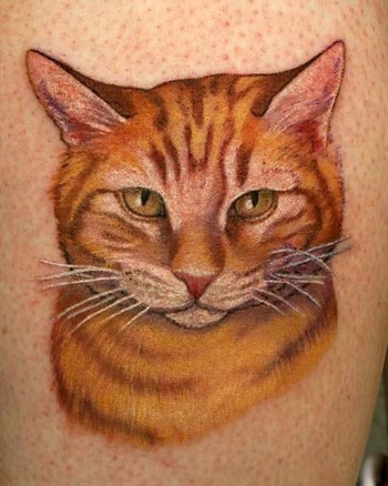 迷人的彩色逼真猫纹身图案