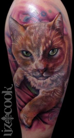 手臂写实风格彩色猫肖像纹身图案