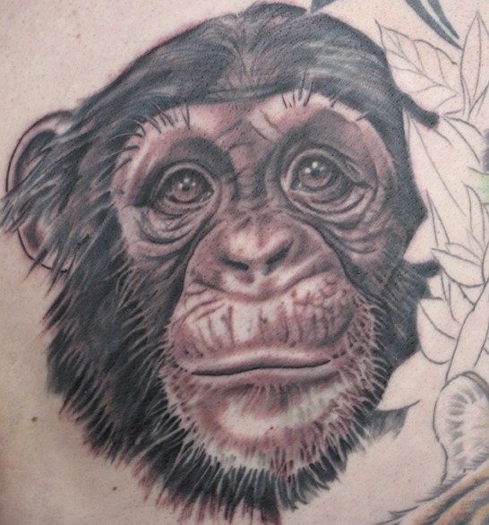 可爱的黑灰黑猩猩头部纹身图案