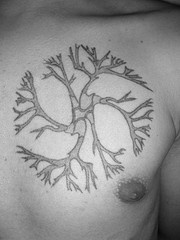 胸部圆形生长树纹身图案