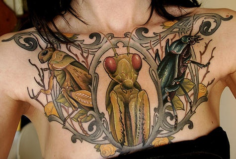 胸部螳螂蝗虫甲虫纹身图案