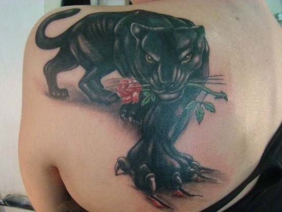 黑豹与玫瑰背部纹身图案