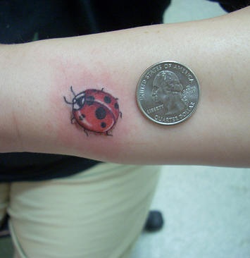可爱的小瓢虫纹身图案