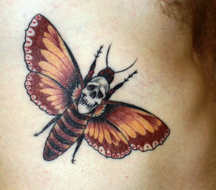 彩色的蝴蝶与骷髅纹身图案