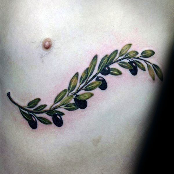 胸部绿色的天然橄榄枝纹身图案