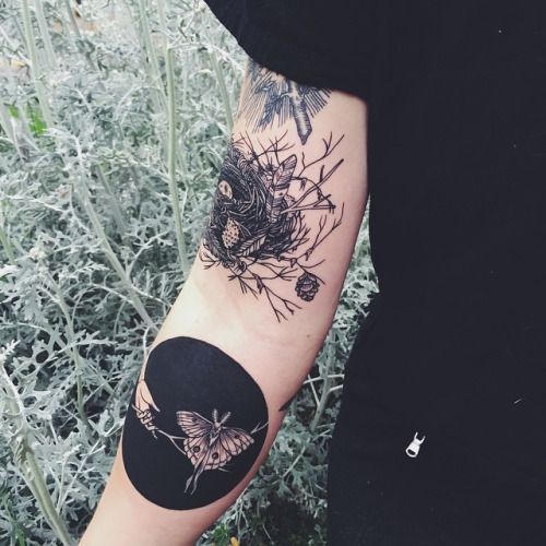 手臂不寻常的黑白组合燕窝与蝴蝶纹身图案