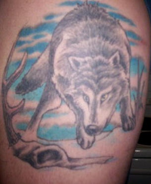 狼与蓝天纹身图案
