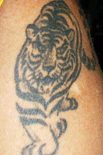 黑色线条老虎纹身图案