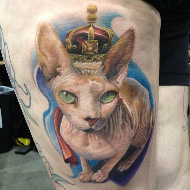 斯芬克斯猫戴上皇冠纹身图案