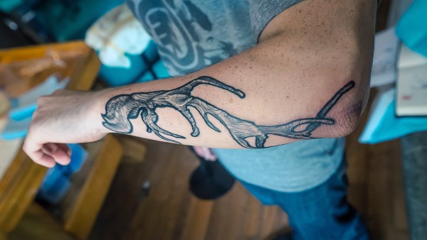 小臂黑色的鹿角纹身图案