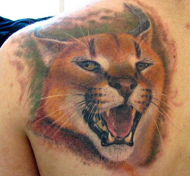 背部彩色咆哮野猫纹身图案