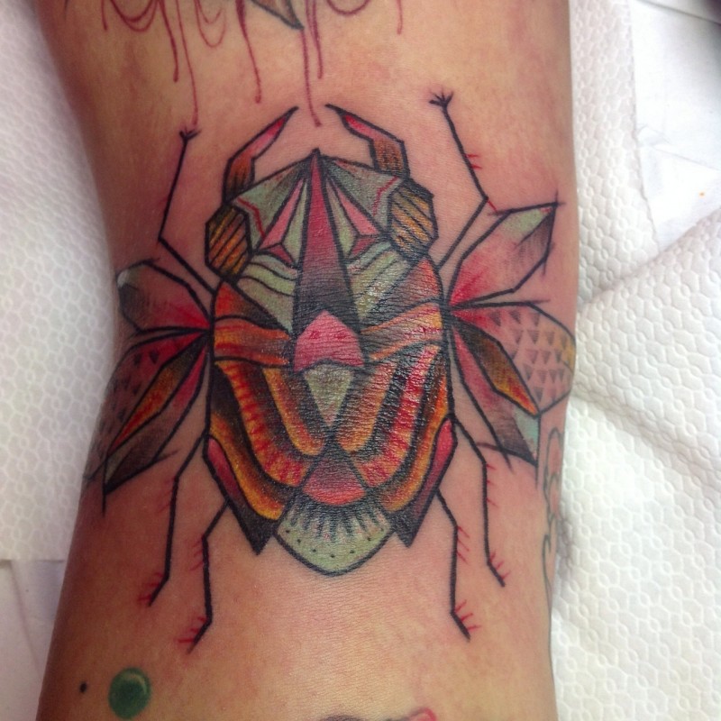 彩色漂亮的昆虫纹身图案