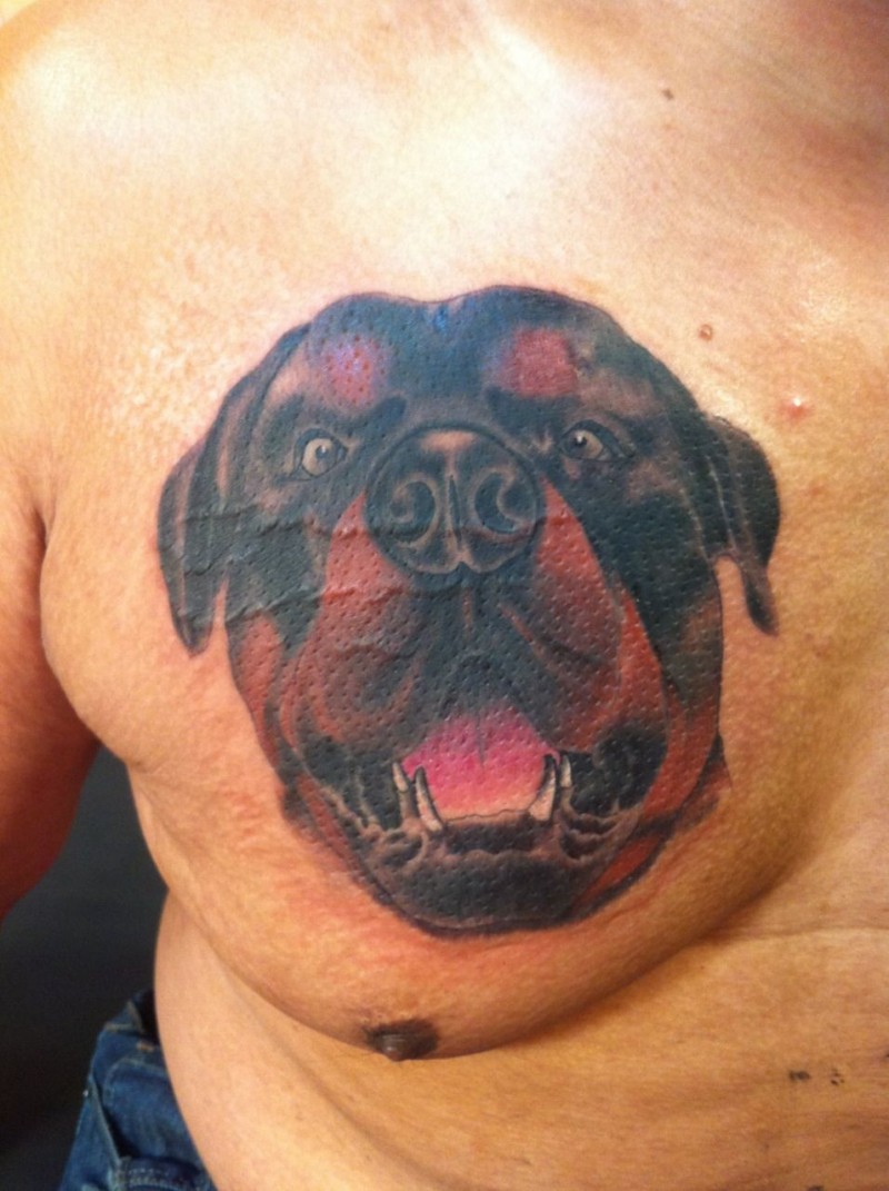 可爱的罗威纳犬肖像胸部纹身图案