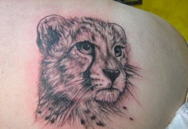 灰色豹头纹身图案