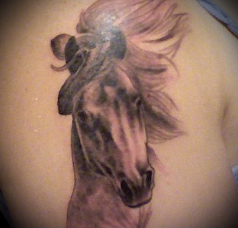 腹部棕色逼真的马头纹身图案