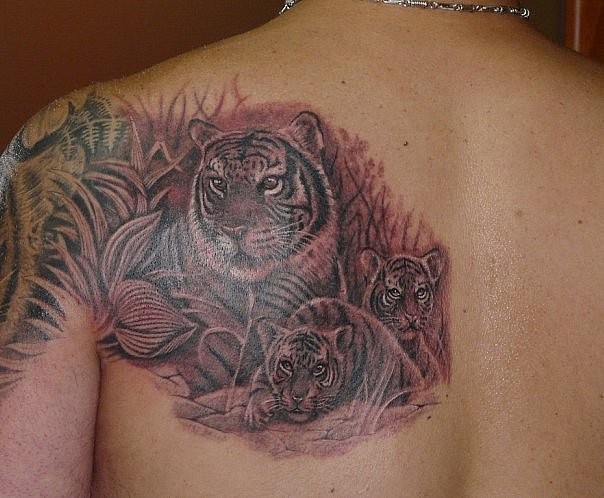 男士背部老虎一家人纹身图案