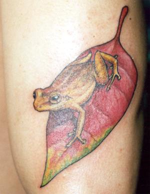 腿部彩色黄蛙落叶纹身图案