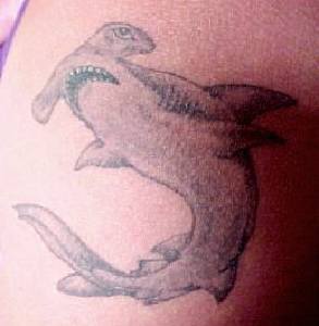 手臂灰色锤头鲨纹身图案