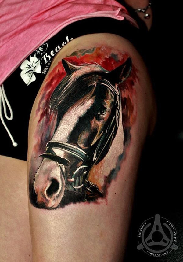 腿部彩色真正的照片马头纹身图案
