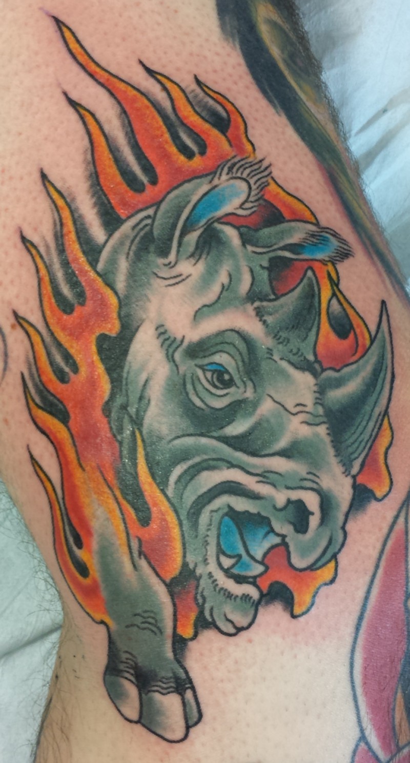 犀牛头像与火焰彩色纹身图案