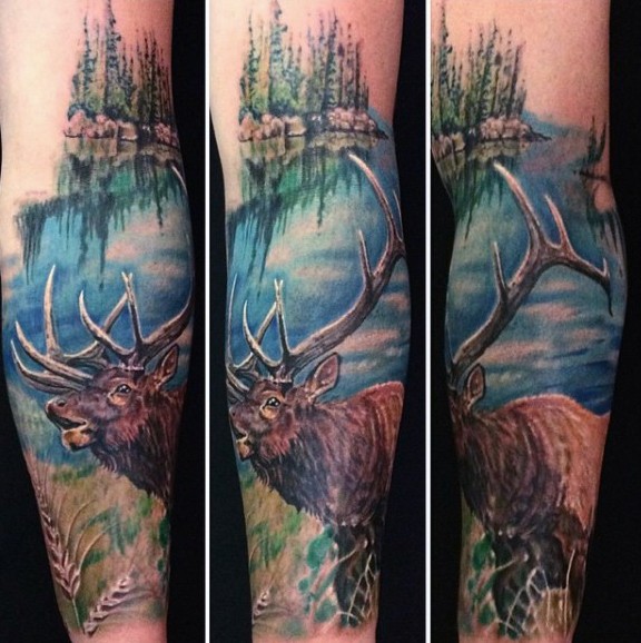 手臂写实天然彩色鹿在野外纹身图案