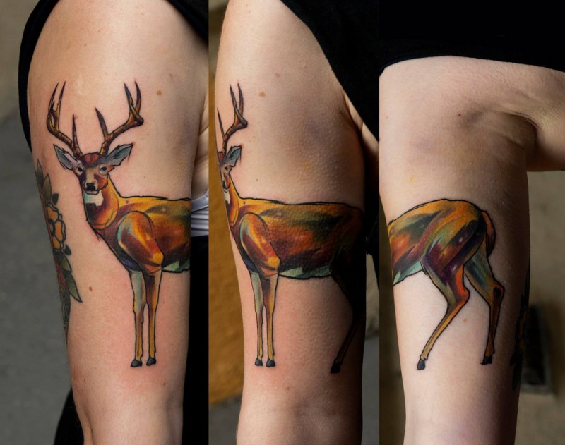 手臂插画风格彩色鹿头纹身图案