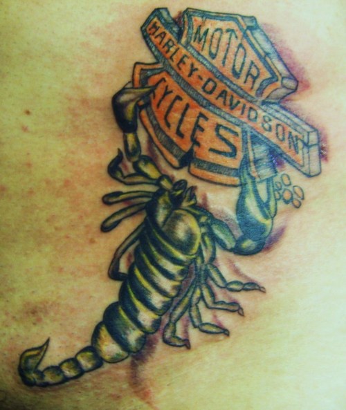 背部彩色哈雷戴维森蝎子纹身图片
