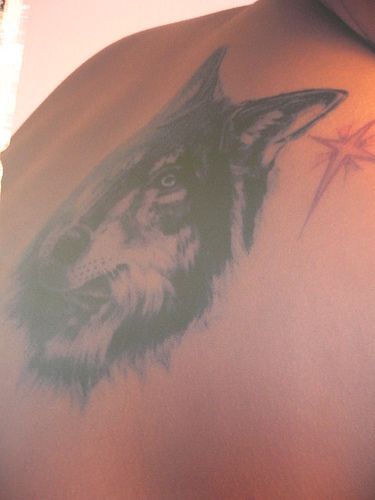 背部黑白逼真的狼头纹身图案