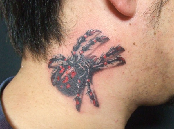 男性脖子逼真的彩色蜘蛛纹身图案