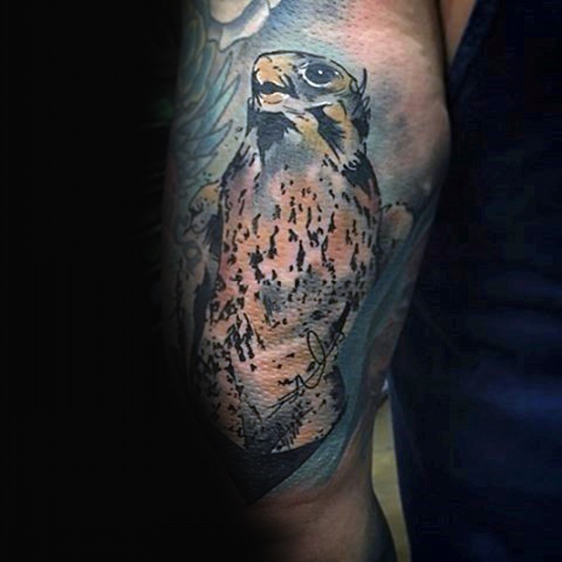 手臂old school彩色鹰与签名纹身图案