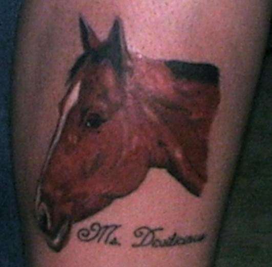 腿部彩色逼真的马头纹身图案