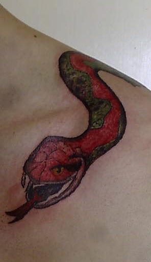 肩部彩色逼真的蛇纹身图片
