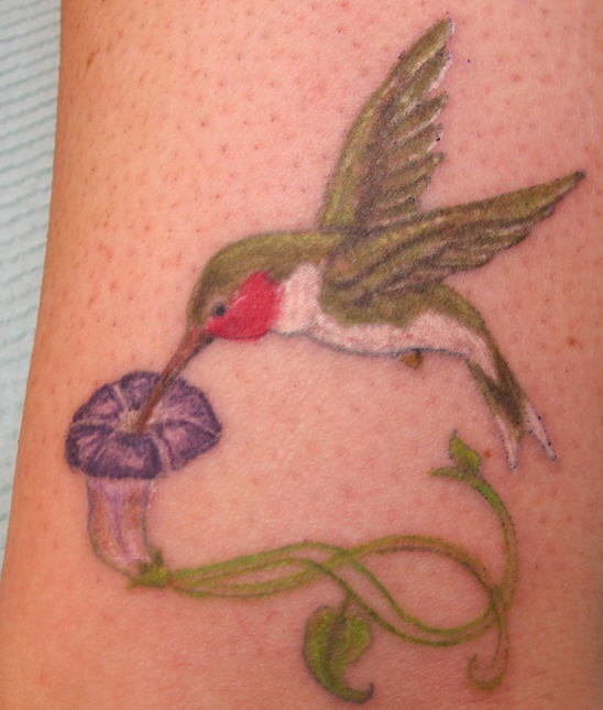 腿部彩色蜂鸟与花朵纹身图案