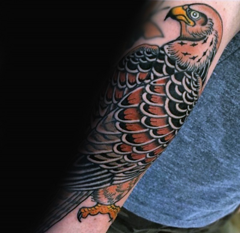 难以置信的彩色鹰手臂纹身图案
