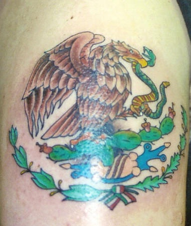 鹰吃蛇和仙人掌的纹身图案