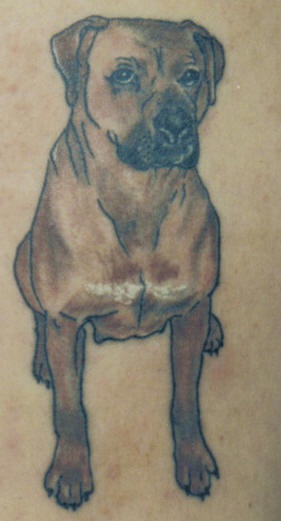 獒犬个性纹身图案