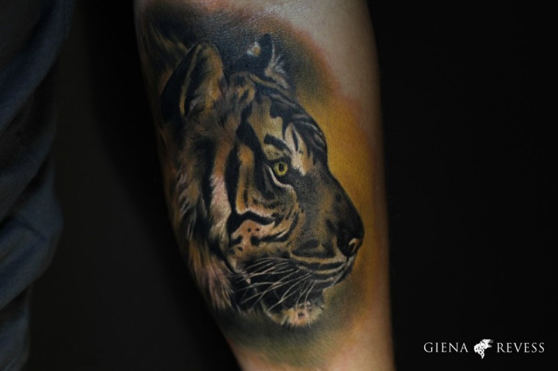 手臂彩色逼真的老虎头纹身图案
