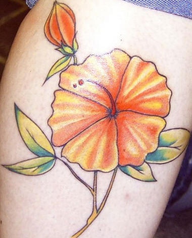 腿部彩色橙色的木槿花纹身图案