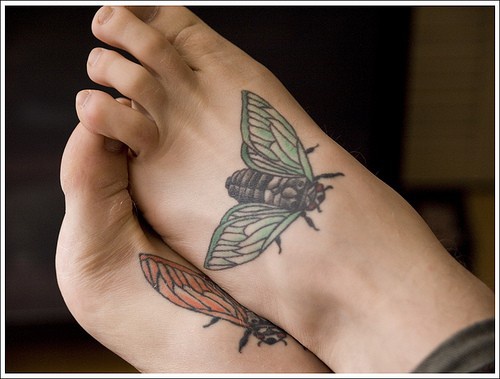 脚背彩色逼真的苍蝇纹身图案
