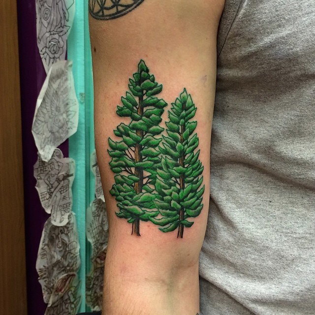 手臂彩色明亮松树纹身图案