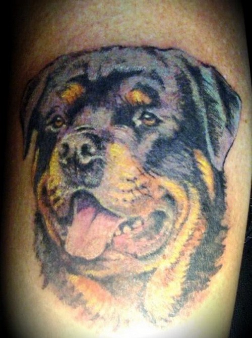 超级逼真的罗威纳犬头部纹身图案
