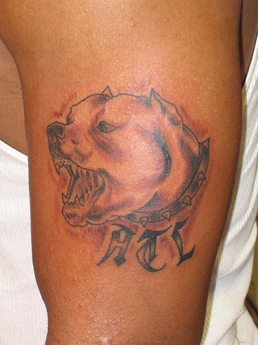 吠叫的狗头像纹身图案