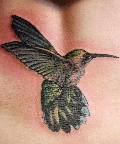 手臂彩色蜂鸟飞行的纹身图案