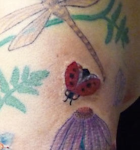 彩色的瓢虫和蜻蜓纹身图案
