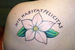 肩部彩色花朵与英文字母纹身图案