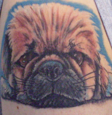 毛茸茸的小狗狗纹身图案