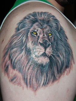 男性肩部彩色金眼狮子头纹身图片