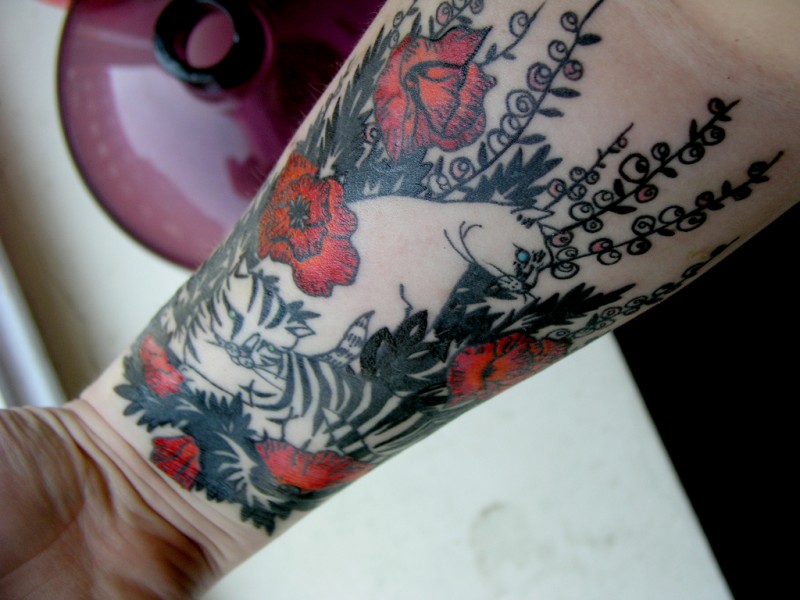 小臂有趣的彩色猫在罂粟花里纹身图案