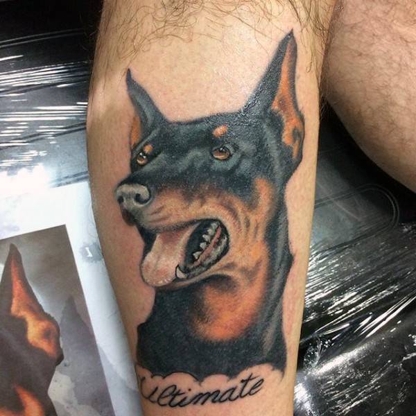 逼真的彩色杜宾犬肖像英文字母纹身图案